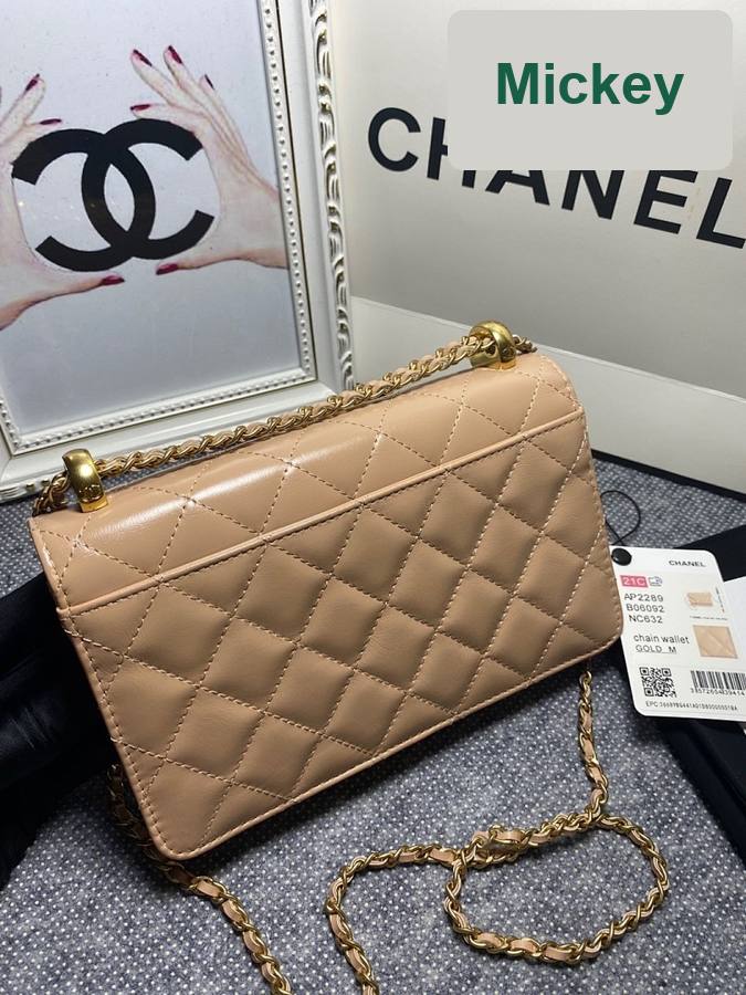 【S】$98=650CNY｜Chanel(AP2289-5)｜Item ID-01446